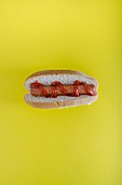 Ein Hot Dog vor gelbem Hintergrund