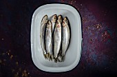 Fresh sprats on a plate (top view)
