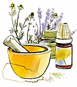 Illustration of a mortar and pestle, various plants and homeopathic medicine