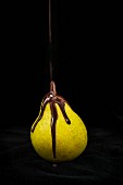 Melted chocolate flowing over a pear against a black background