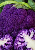 A head of purple cauliflower (close-up)