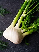 A fennel bulb with leaves