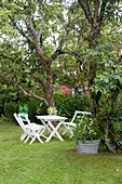 Weiße Gartenmöbel auf dem Rasen zwischen alten Bäumen im Garten