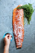 Female hand covering salmon fillet with sea salt