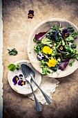 Mixed leaf salad with edible flowers