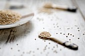 Quinoa auf Teller und Löffeln