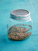Shoot seeds in a glass jar