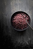 Black rice in a bowl with a spoon
