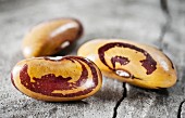 Three borlotti beans (close-up)