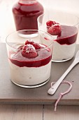 Vanilla quark topped with berry sauce