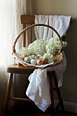Verschiedenfarbige Eier mit Hortensienblüten in Weidenkorb auf Holzstuhl