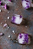 Ice cubes with lilac flowers, white sugar and sugared lilac flowers over old rusty iron background