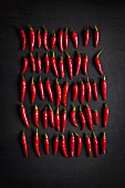 Red chilli peppers in rows against a black background (top view)