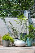 Group of various potted plants in front of wall