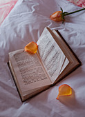 Yellow petals on open book