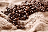 Coffee beans on a jute sack