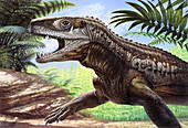 Euparkeria reptile, illustration