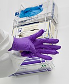 Laboratory safety gloves