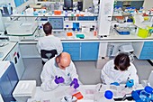 Scientists in biosciences laboratory