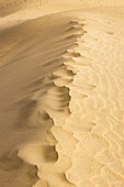 Sand ripples.