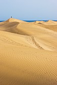 Maspalomas sand dunes.