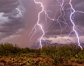 Close lightning strikes, Arizona, USA