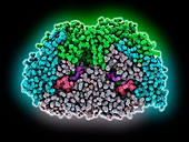 Methyl-coenzyme M reductase