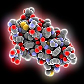 Amyloid-beta precursor protein fragment