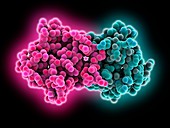 Circadian clock protein KaiB