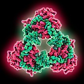 Toxin-antitoxin RNA complex