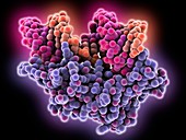 Double-helical RNA silencing complex