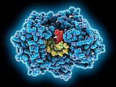 RNA-directed RNA polymerase complex