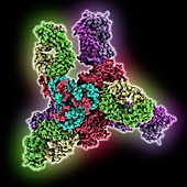 HIV-1 glycoprotein complex