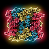 Human methyltransferase tRNA complex