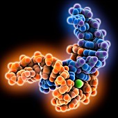 Engineered RNA nanotriangle molecule