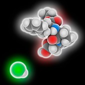 Benazepril hydrochloride drug molecule