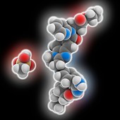 Dabigatran etexilate mesylate molecule