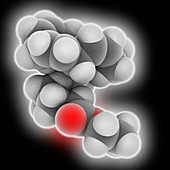 EPA ethyl ester drug molecule