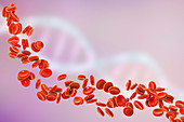 Red blood cells and DNA, illustration