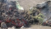 Destruction caused by a lava flow