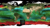 Global phytoplankton levels, 1994-1998, animation