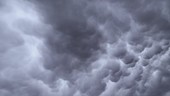 Mammatus clouds, time-lapse footage