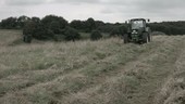 Grass mowing