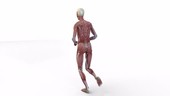 Human muscle figure running, rotating animation