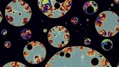 Soap film colours, microscopy