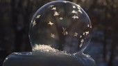 Freezing soap bubble shattering