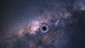 Black hole gravitational lensing