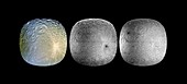 Saturn's moon Rhea, Cassini images