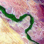 Nile and Egyptian desert, satellite image