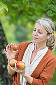 Woman picking apples